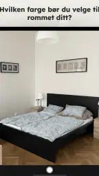 Paint my Room: AI-visualiserer screenshot