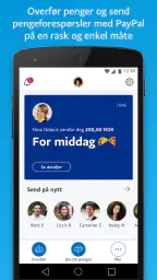 PayPal screenshot
