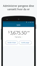 PayPal Business screenshot