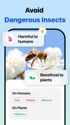 Picture Insect: Bug Identifier screenshot