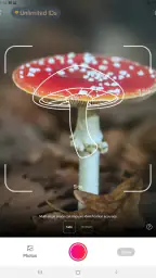 Picture Mushroom - Mushroom ID screenshot