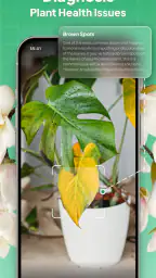 Plant Identifier: LeafSnap screenshot