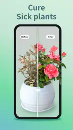 Plant Identifier - Plant Care screenshot