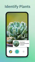 Plant Identifier - Plant Care screenshot