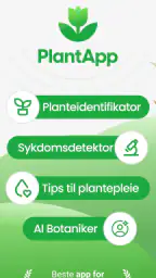 PlantApp - Planteidentifikator screenshot