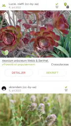 PlantNet plantegjenkjenning screenshot