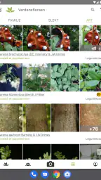 PlantNet plantegjenkjenning screenshot