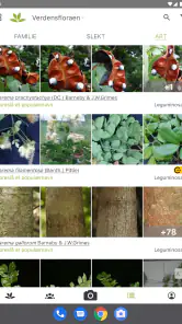 PlantNet plantegjenkjenning screenshot