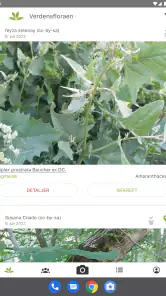 PlantNet plantegjenkjenning screenshot