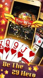 Play 29 Gold offline screenshot
