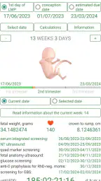 Pregnancy Calculator+Calendar screenshot