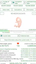 Pregnancy Calculator+Calendar screenshot