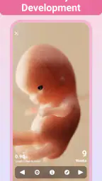 Pregnancy + | Tracker App screenshot