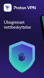 Proton VPN: Rask og sikker screenshot