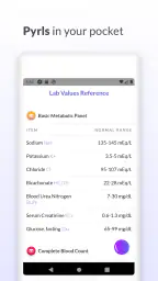 Pyrls screenshot