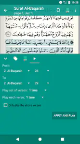 Quran Tajweed قرآن تجويد screenshot