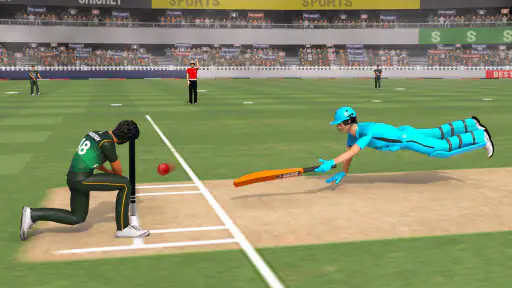 Real World Cricket Games screenshot