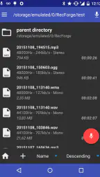 RecForge II Pro - Audio Record screenshot