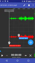 RecForge II Pro - Audio Record screenshot