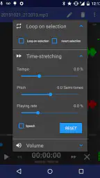 RecForge II Pro - Audio Record screenshot