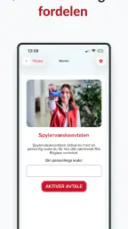 Riis Bilglass screenshot