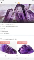 Rock Identifier: Stone ID screenshot