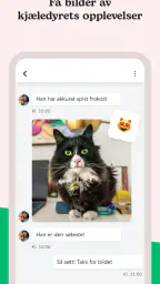 Rover - Dog sitting og walking screenshot
