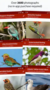 Sasol eBirds Southern Africa screenshot