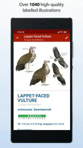 Sasol eBirds Southern Africa screenshot