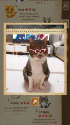 Secret Cat Forest screenshot