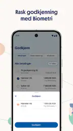 SpareBank 1 Bedrift screenshot