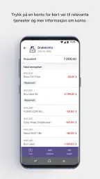 Sparebanken Norge - Sør screenshot