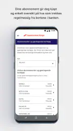 Sparebanken Norge - Sør screenshot