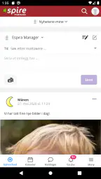 Spireportalen screenshot