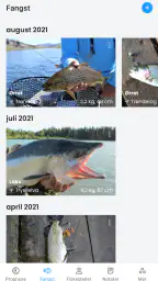 Sportsfisker: Fiskeprognoser screenshot