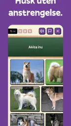 Squiz - Lær med quiz og kultur screenshot