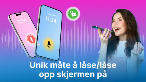 Stemmelåsskjerm - Stemmelås screenshot