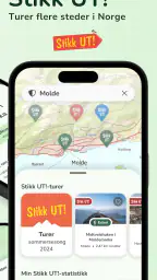 Stikk UT! screenshot
