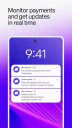 Stripe Dashboard screenshot