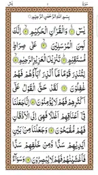 Surah Yaseen screenshot