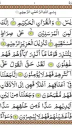 Surah Yaseen screenshot