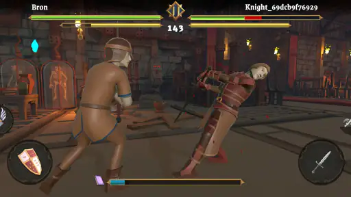 Sword Fight: Knight Arena Pro screenshot
