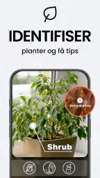 TapScanner - Skann til PDF screenshot