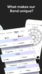 The Pattern: Astrology screenshot