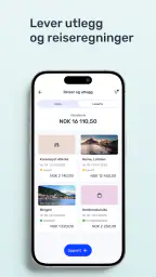 Tripletex screenshot