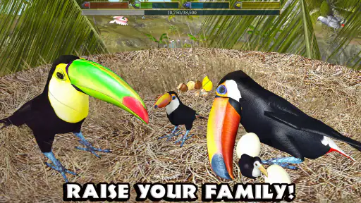 Ultimate Bird Simulator screenshot
