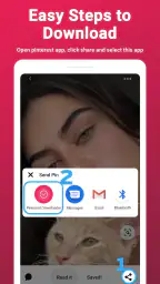 Video Downloader For Pinterest screenshot