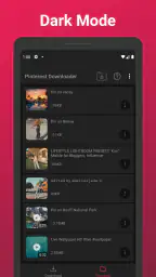 Video Downloader For Pinterest screenshot