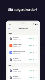 Vippskassa screenshot
