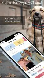 VOFFii screenshot